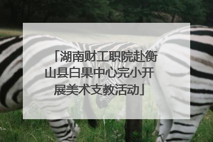 湖南财工职院赴衡山县白果中心完小开展美术支教活动