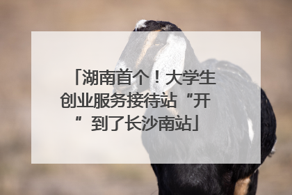 湖南首个！大学生创业服务接待站“开”到了长沙南站