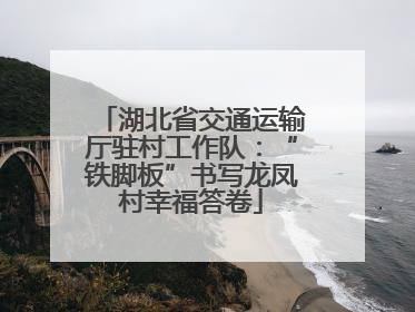 湖北省交通运输厅驻村工作队：“铁脚板”书写龙凤村幸福答卷