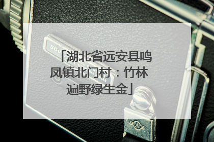 湖北省远安县鸣凤镇北门村：竹林遍野绿生金
