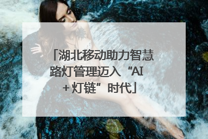 湖北移动助力智慧路灯管理迈入“AI＋灯链”时代