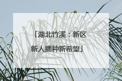 湖北竹溪：新区新人播种新希望