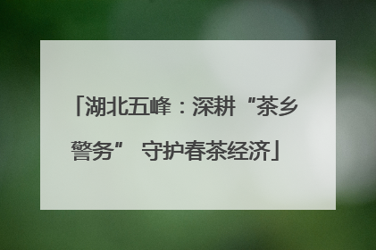 湖北五峰：深耕“茶乡警务” 守护春茶经济
