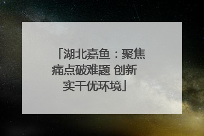 湖北嘉鱼：聚焦痛点破难题 创新实干优环境