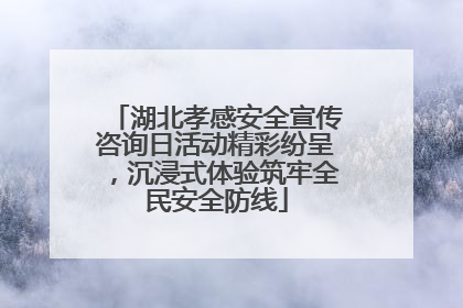 湖北孝感安全宣传咨询日活动精彩纷呈，沉浸式体验筑牢全民安全防线