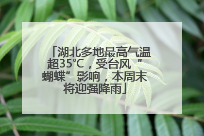 湖北多地最高气温超35℃，受台风“蝴蝶”影响，本周末将迎强降雨