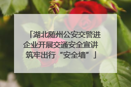 湖北随州公安交警进企业开展交通安全宣讲筑牢出行“安全墙”