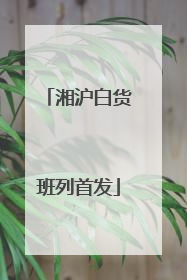湘沪白货班列首发
