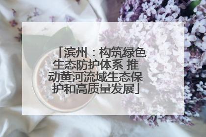 滨州：构筑绿色生态防护体系 推动黄河流域生态保护和高质量发展