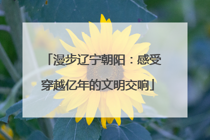 漫步辽宁朝阳：感受穿越亿年的文明交响