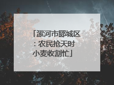 漯河市郾城区：农民抢天时 小麦收割忙