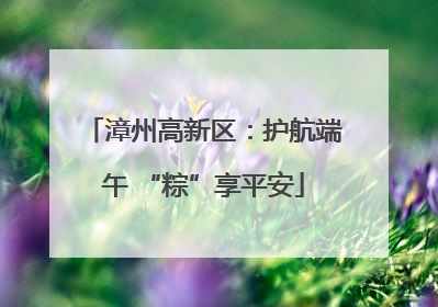 漳州高新区：护航端午 “粽”享平安
