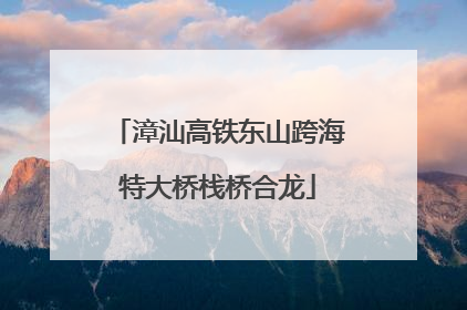 漳汕高铁东山跨海特大桥栈桥合龙