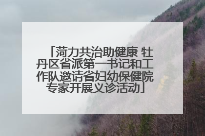 菏力共治助健康 牡丹区省派第一书记和工作队邀请省妇幼保健院专家开展义诊活动
