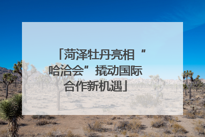 菏泽牡丹亮相“哈洽会”撬动国际合作新机遇