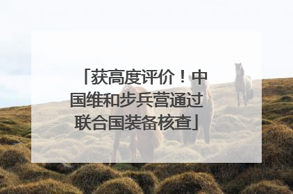 获高度评价！中国维和步兵营通过联合国装备核查