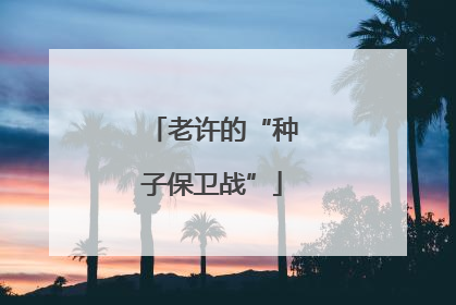 老许的“种子保卫战”