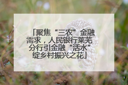 聚焦“三农”金融需求，人民银行莱芜分行引金融“活水”绽乡村振兴之花