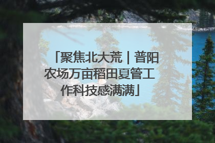 聚焦北大荒｜普阳农场万亩稻田夏管工作科技感满满