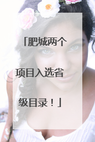 肥城两个项目入选省级目录！