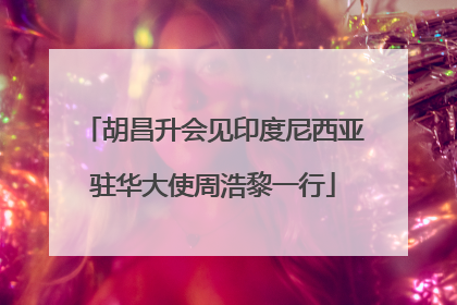 胡昌升会见印度尼西亚驻华大使周浩黎一行