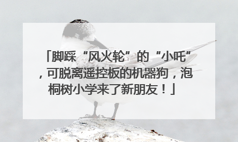 脚踩“风火轮”的“小吒”，可脱离遥控板的机器狗，泡桐树小学来了新朋友！