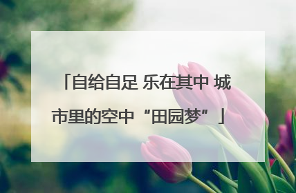 自给自足 乐在其中 城市里的空中“田园梦”