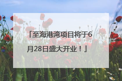 至海港湾项目将于6月28日盛大开业！