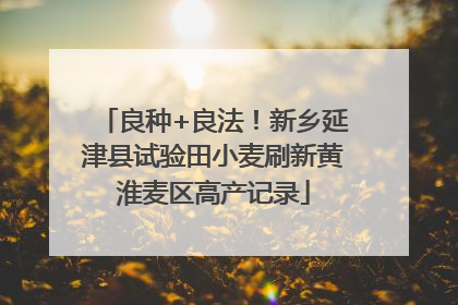 良种+良法！新乡延津县试验田小麦刷新黄淮麦区高产记录