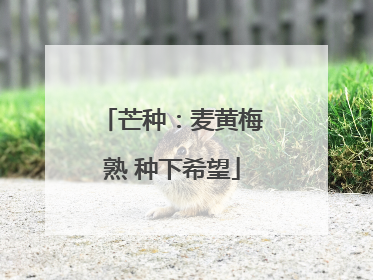 芒种：麦黄梅熟 种下希望