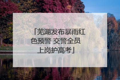 芜湖发布暴雨红色预警 交警全员上岗护高考