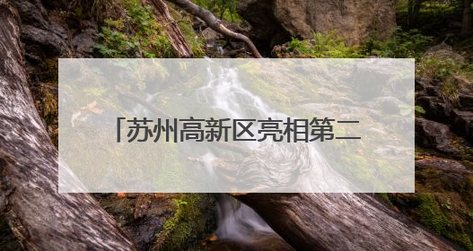 苏州高新区亮相第二十一届深圳文博会