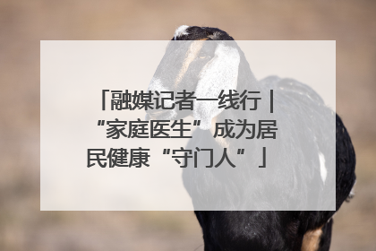 融媒记者一线行｜“家庭医生”成为居民健康“守门人”
