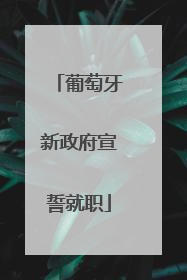 葡萄牙新政府宣誓就职