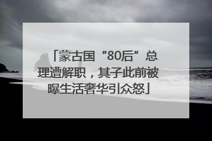 蒙古国“80后”总理遭解职，其子此前被曝生活奢华引众怒