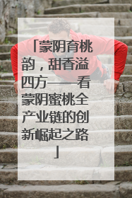 蒙阴育桃韵，甜香溢四方——看蒙阴蜜桃全产业链的创新崛起之路