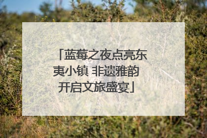 蓝莓之夜点亮东夷小镇 非遗雅韵开启文旅盛宴