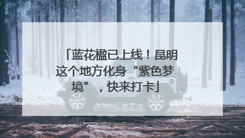 蓝花楹已上线！昆明这个地方化身“紫色梦境”，快来打卡