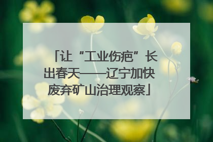 让“工业伤疤”长出春天——辽宁加快废弃矿山治理观察