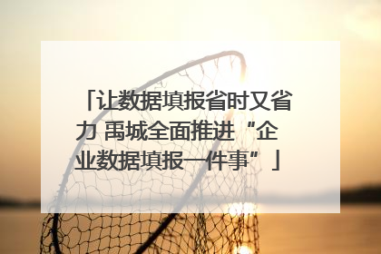 让数据填报省时又省力 禹城全面推进“企业数据填报一件事”