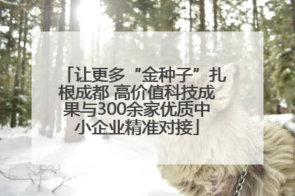 让更多“金种子”扎根成都 高价值科技成果与300余家优质中小企业精准对接