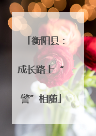 衡阳县：成长路上“警”相随