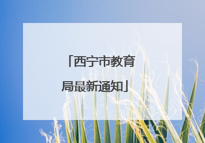 西宁市教育局最新通知