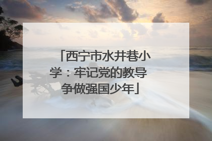 西宁市水井巷小学：牢记党的教导 争做强国少年