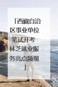 西藏自治区事业单位笔试开考 林芝就业服务亮点频现