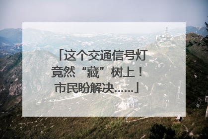 这个交通信号灯竟然“藏”树上！市民盼解决……