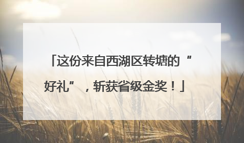 这份来自西湖区转塘的“好礼”，斩获省级金奖！