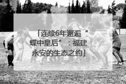 连续6年邂逅“蝶中皇后”：福建永安的生态之约