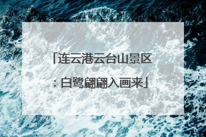 连云港云台山景区：白鹭翩翩入画来