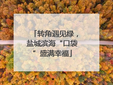 转角遇见绿，盐城滨海“口袋”盛满幸福